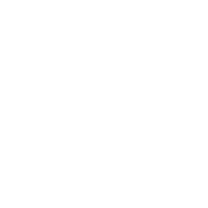 Telefon Icon