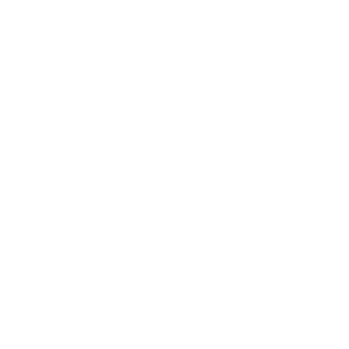 Telefon Icon